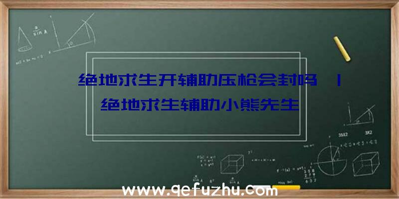 「绝地求生开辅助压枪会封吗」|绝地求生辅助小熊先生